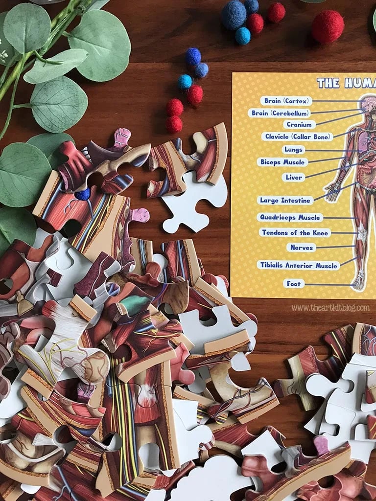 100-teiliges Bodenpuzzle Menschlicher Körper für Kinder