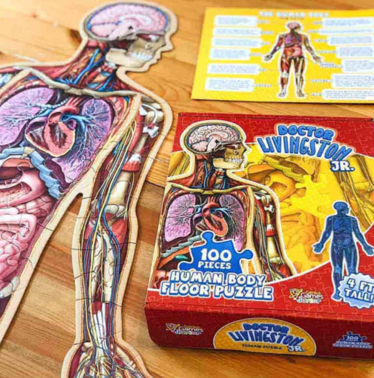 100-teiliges Bodenpuzzle Menschlicher Körper für Kinder